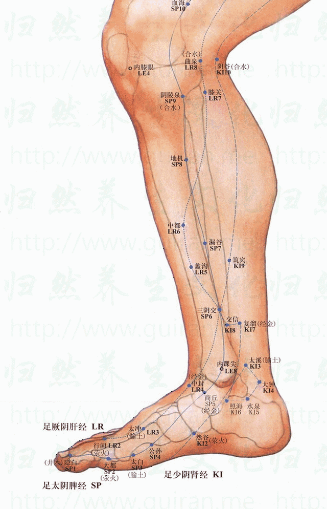 胡萝卜用油炒等于白吃,正确吃法护心通血管;脾经大穴走顺了,身体也就