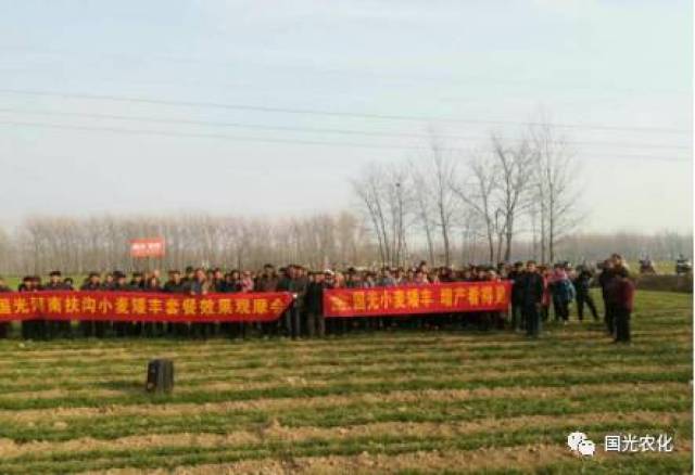 【产品介绍】国光矮丰套餐助力，小麦高产不再靠多播！