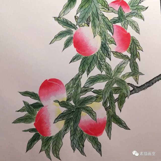 素描画室"每周一画"第19期