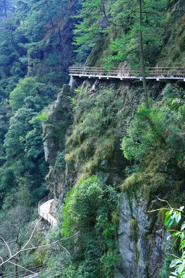 南昌旅游一卡通折扣景区 | 靖安观音岩