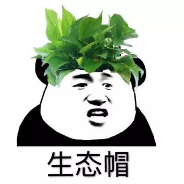 表情包 | 请给我一顶圣诞帽@微信官方