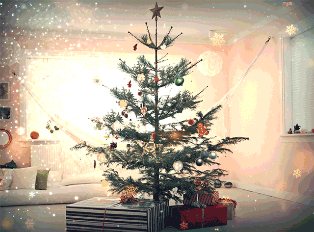 past year, we extend our very best wishes for a merry christmas