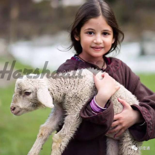 哈尔莎莉·马尔霍特拉(harshaali malhotra)