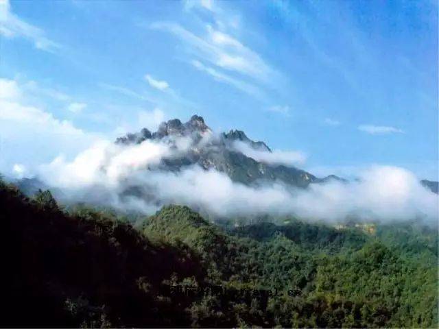 「九龙山风景区」