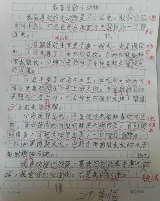 文学苑地——《我喜爱的小动物》