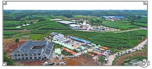 发挥本地优势,加快壮大经济链,重点推进位于谭村的南宁市青秀区生态