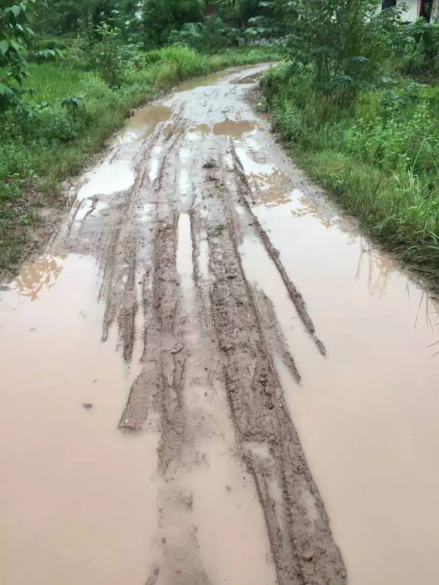 你见过这么烂的泥巴路吗?你那里有这种泥巴路吗?