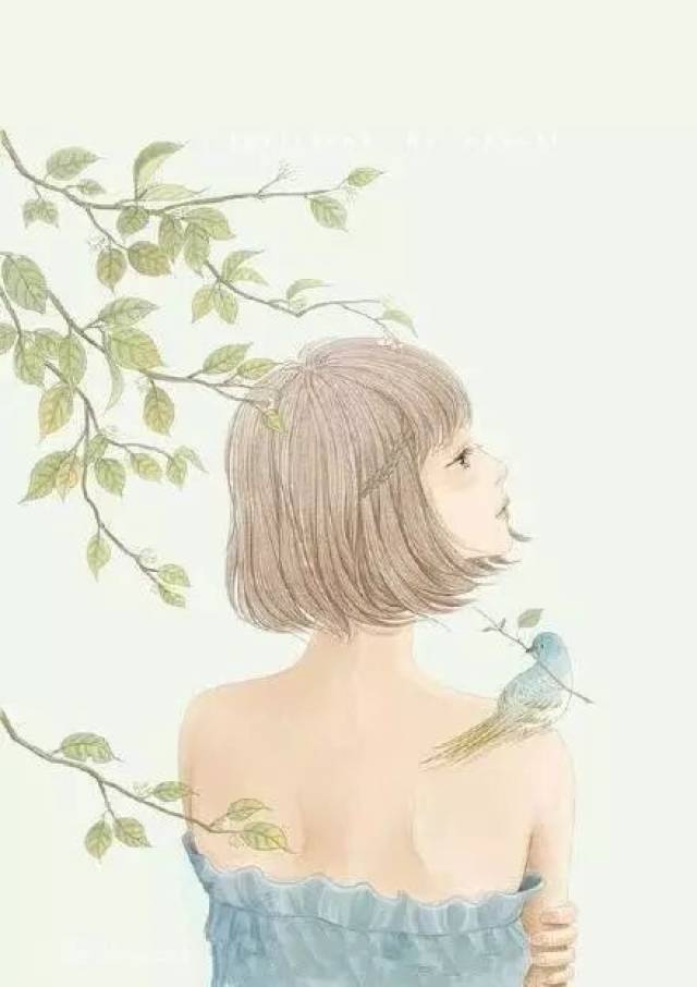 搜狐网