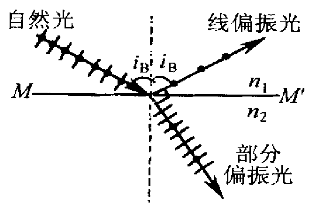 光学经典理论|光的偏振和偏振光详解