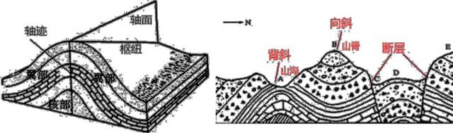 二,褶皱构造(一)褶皱构造是组成地壳的岩层,受构造力的强烈作用,使
