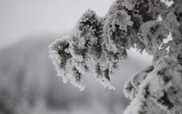 现在可以去哪里玩雪 beffbd730c0343598edcbe14959d3e9b.jpeg