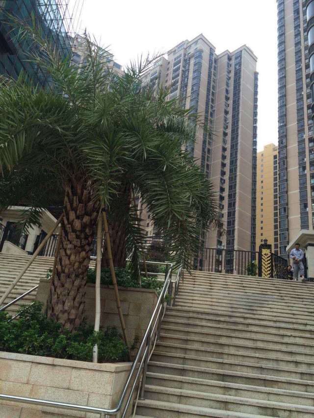 深圳最大最美商品房级统建楼小产权房石岩中央