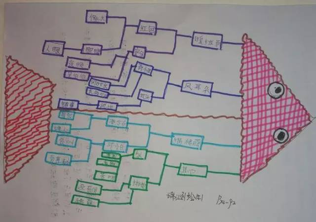 鱼骨图 我的鱼骨图很有特点吧!