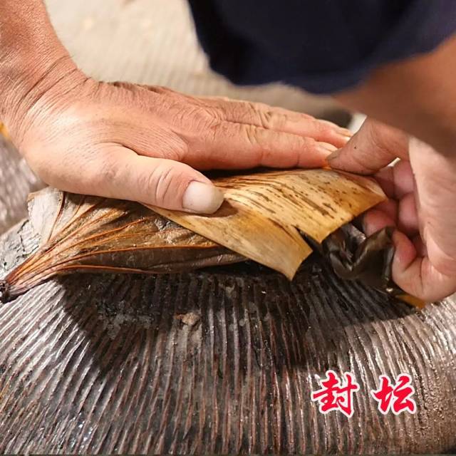 传承3000年古法酿造的唐河黄酒你只知道它好喝却不知它的另一面