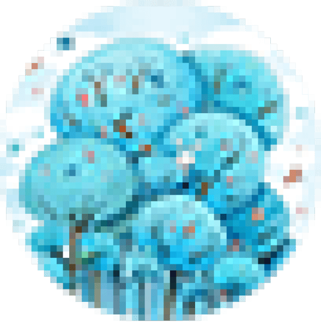 20多岁的年龄50岁的卵巢 年轻女性一定要防范好这种病