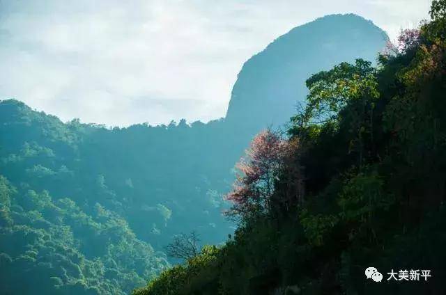 图文话哀牢——新平哀牢山冬季风光