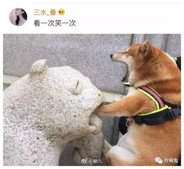 晒一晒手机里最搞笑的图片