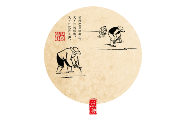 中药版二十四节气养生动态图,值得珍藏!