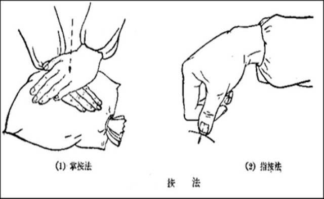 小儿推拿培训加盟李波老师介绍小儿推拿单式手法之按法:指按法,掌按法