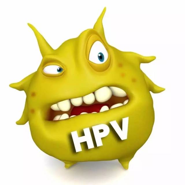 一问:什么是hpv?