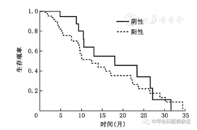 基因表达阴性组和阳性组肺癌患者的生存曲线图