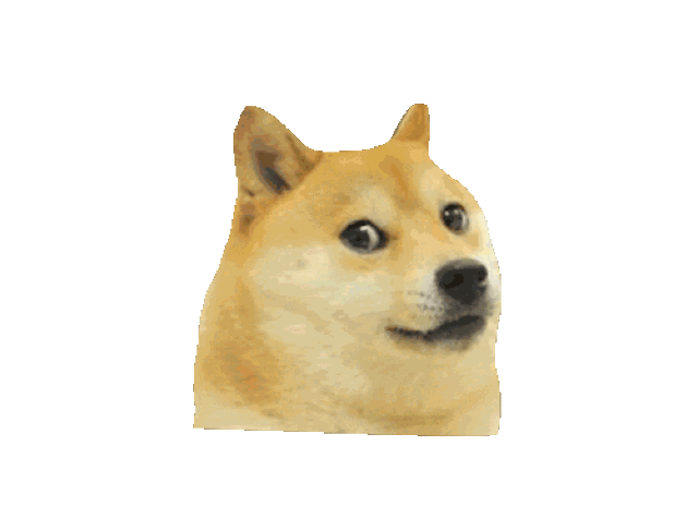31nt丨