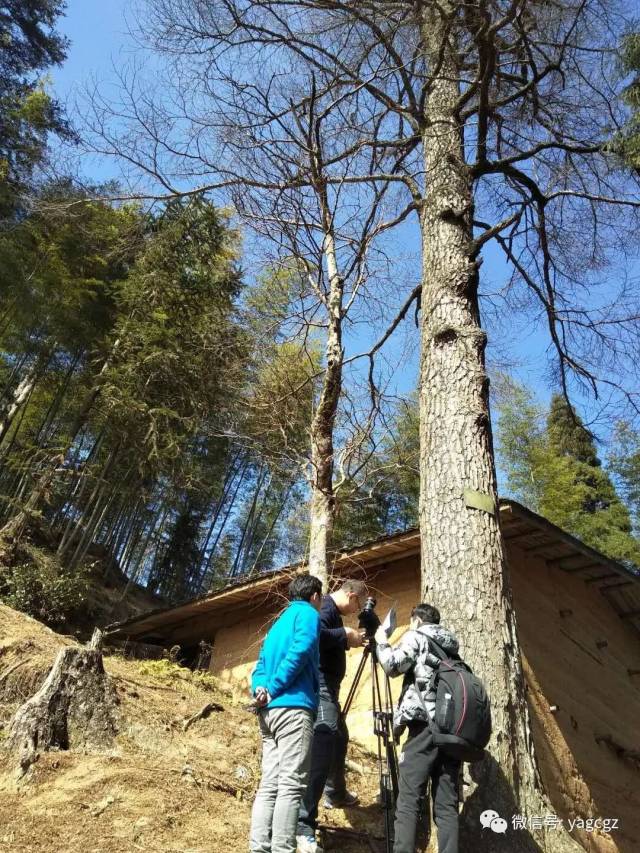 央视《中国影像方志》拍摄花絮:记录中国航空