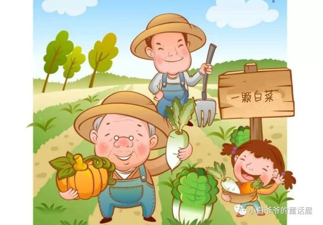 【小白爷爷童话屋】406世界民间故事选——一颗白菜