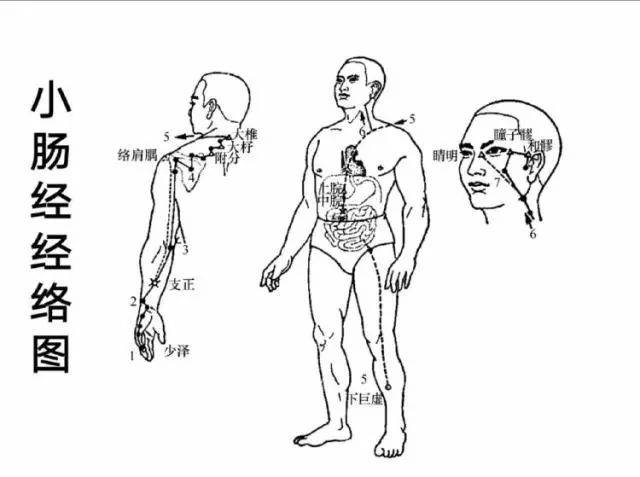 常见疾患的经络处方——风寒感冒,甲状腺结节,颈椎病