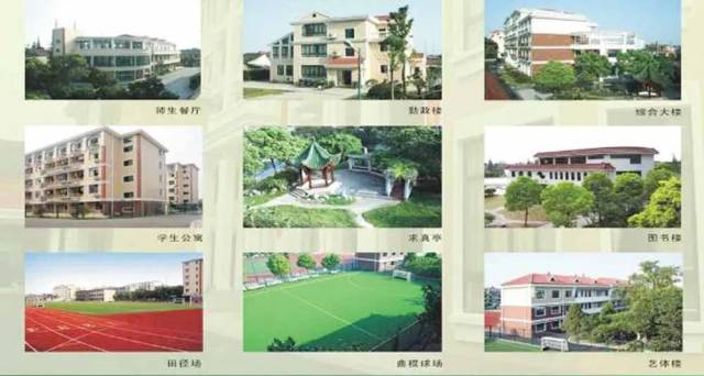 【校园动态】泗水年华,育美而行,新老照片中,且看松江四中那点青葱