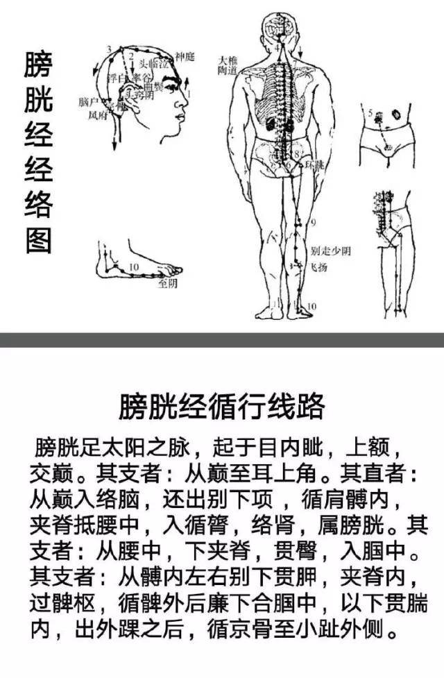 常见疾患的经络处方——风寒感冒,甲状腺结节,颈椎病