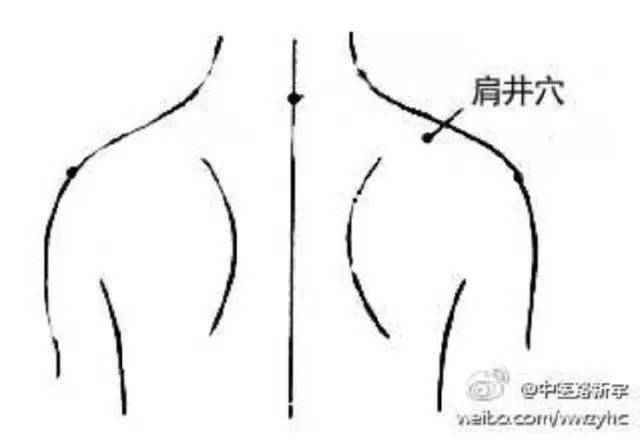 常见疾患的经络处方——风寒感冒,甲状腺结节,颈椎病