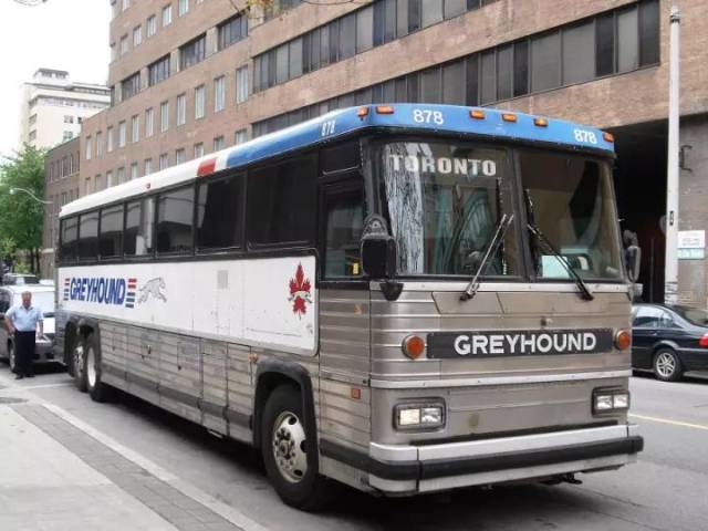 greyhound/peter pan bus (美国灰狗长途巴士)