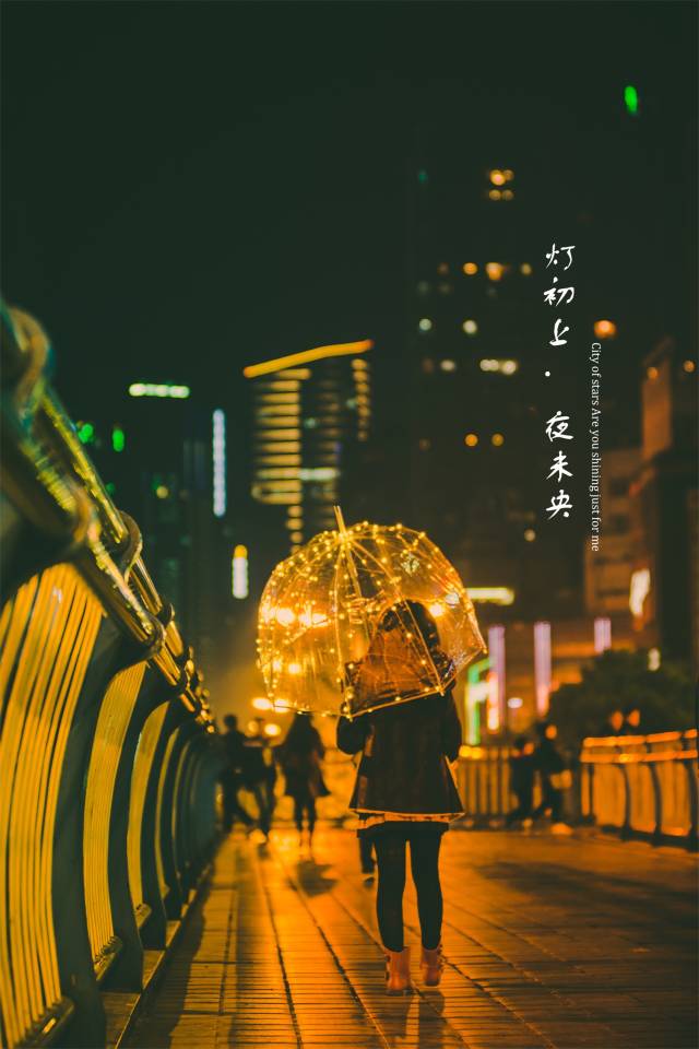 夜色有着模糊,空幻的色彩,在灯光和城市的背影下,映衬出繁华都市