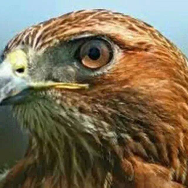 戏嗨明日上新|1992年江苏电视台录制--省锡剧