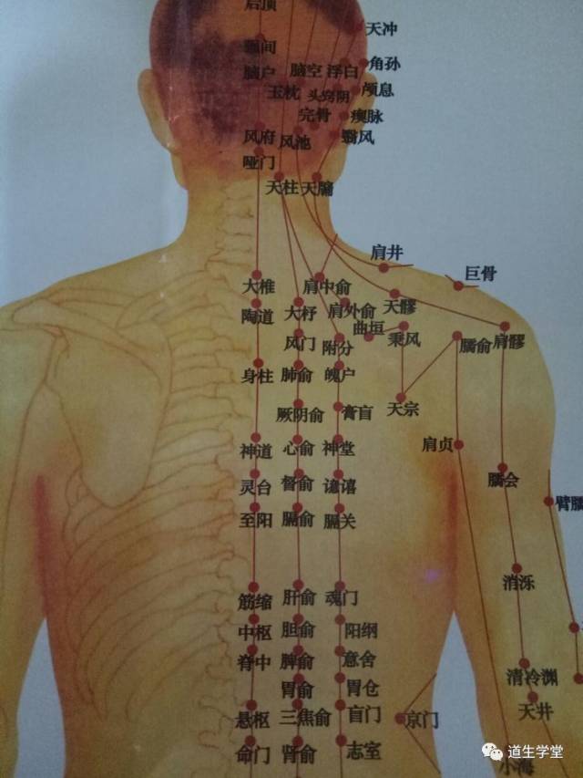 围刮肩胛骨,重点秉风,天宗二穴.