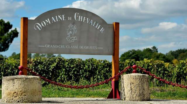 骑士X芝路庄主:除了甜白,苏玳酒庄也出好喝的