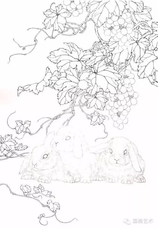 【图文教程】工笔兔画法