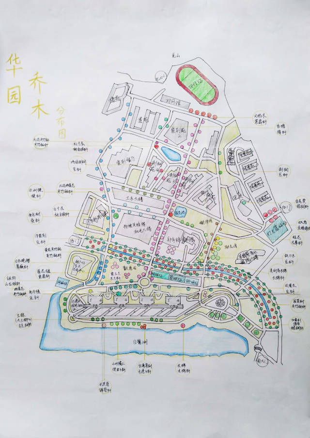 华侨大学花艺协会 华侨大学图书馆 植物展出 届时我们将在图书馆一楼