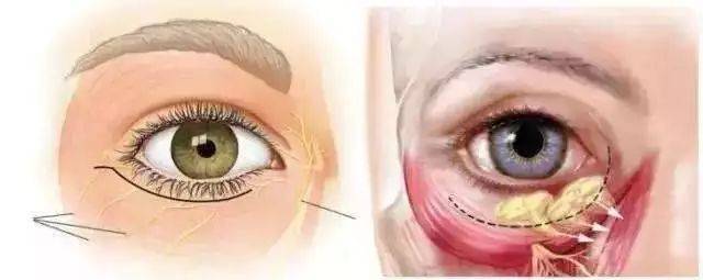 透露你年龄秘密的杀手