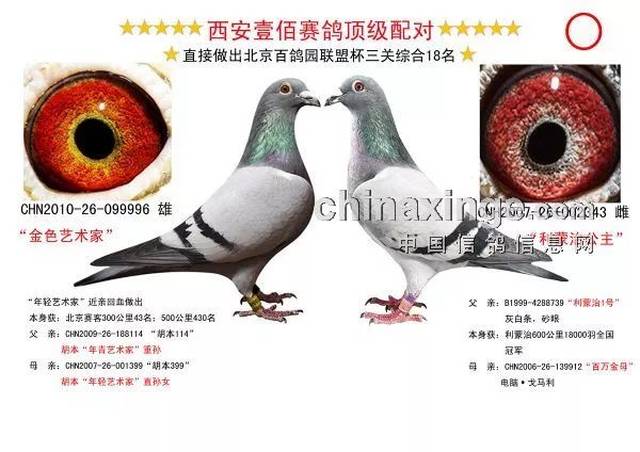 获奖实例:眼砂配对(图)【609】