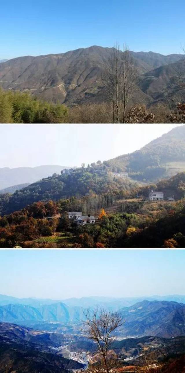 黄堡村人口_人口普查(2)