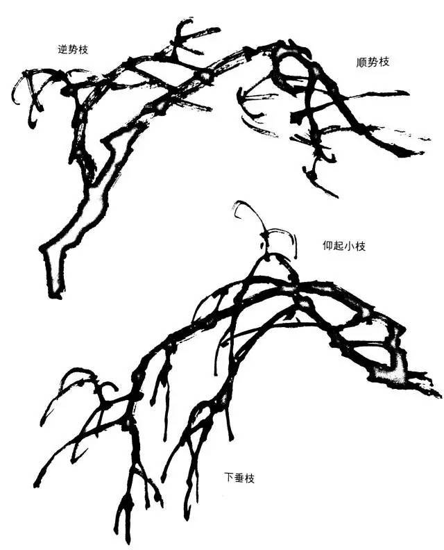 国画教程跟着教程轻轻松松教你如何画好梅花超详细哦