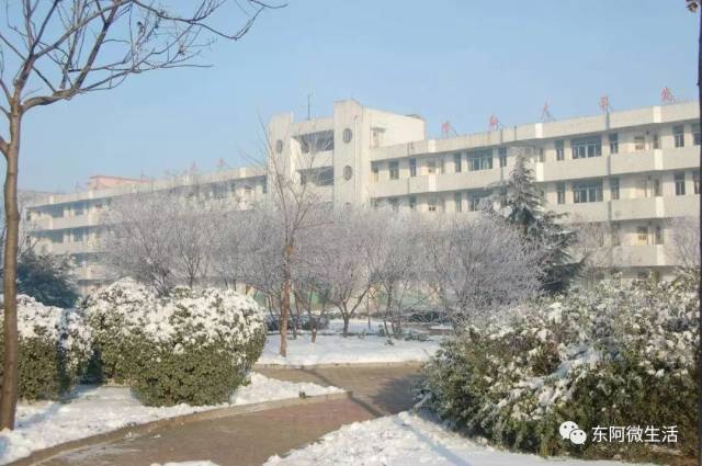 东阿县第四中学,东阿县第一实验小学,东阿县第二实验小学,东阿县第三