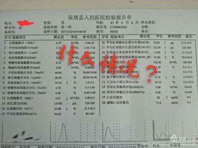 一例冷凝集引起的血常规结果异常