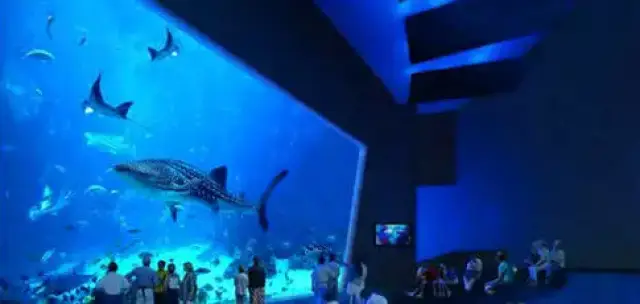 2017年云南旅游圈发生了哪些大事件?