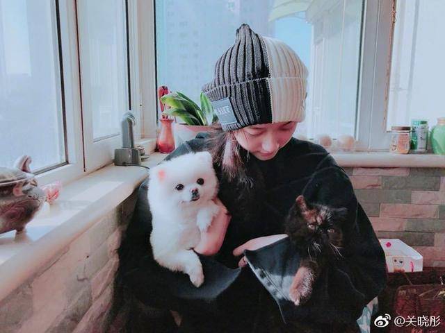 不久之前关晓彤也晒了一组日常撸猫照片,只见她一手抱着小白狗,一手抱