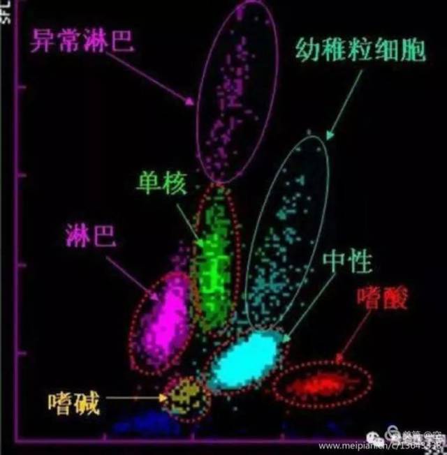 一例冷凝集引起的血常规结果异常