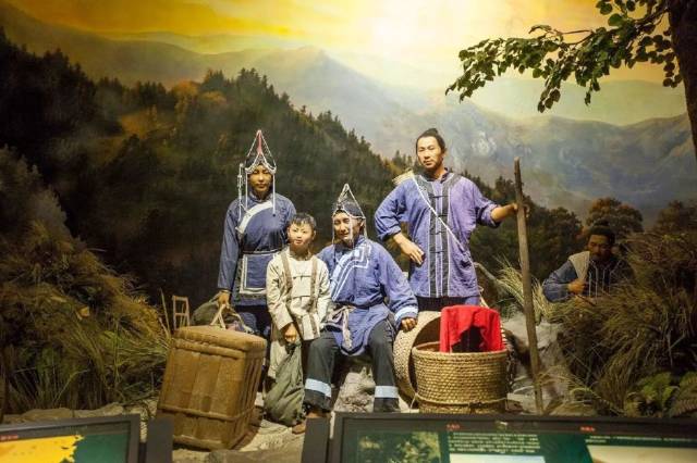 景宁畲族,生长于山歌中的民族