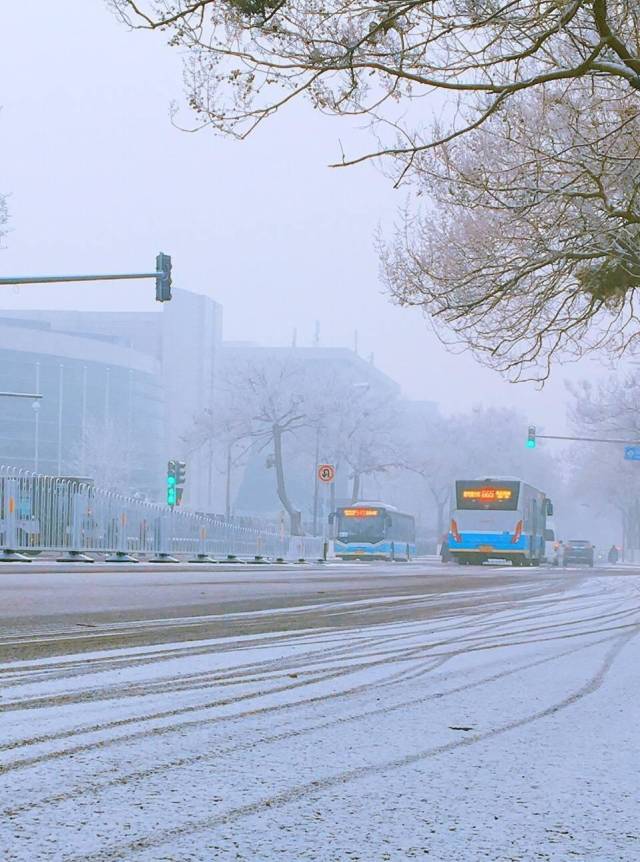 今天,北京的这个冬天终于下雪了,可惜下到了延庆,北京城六区目前还没